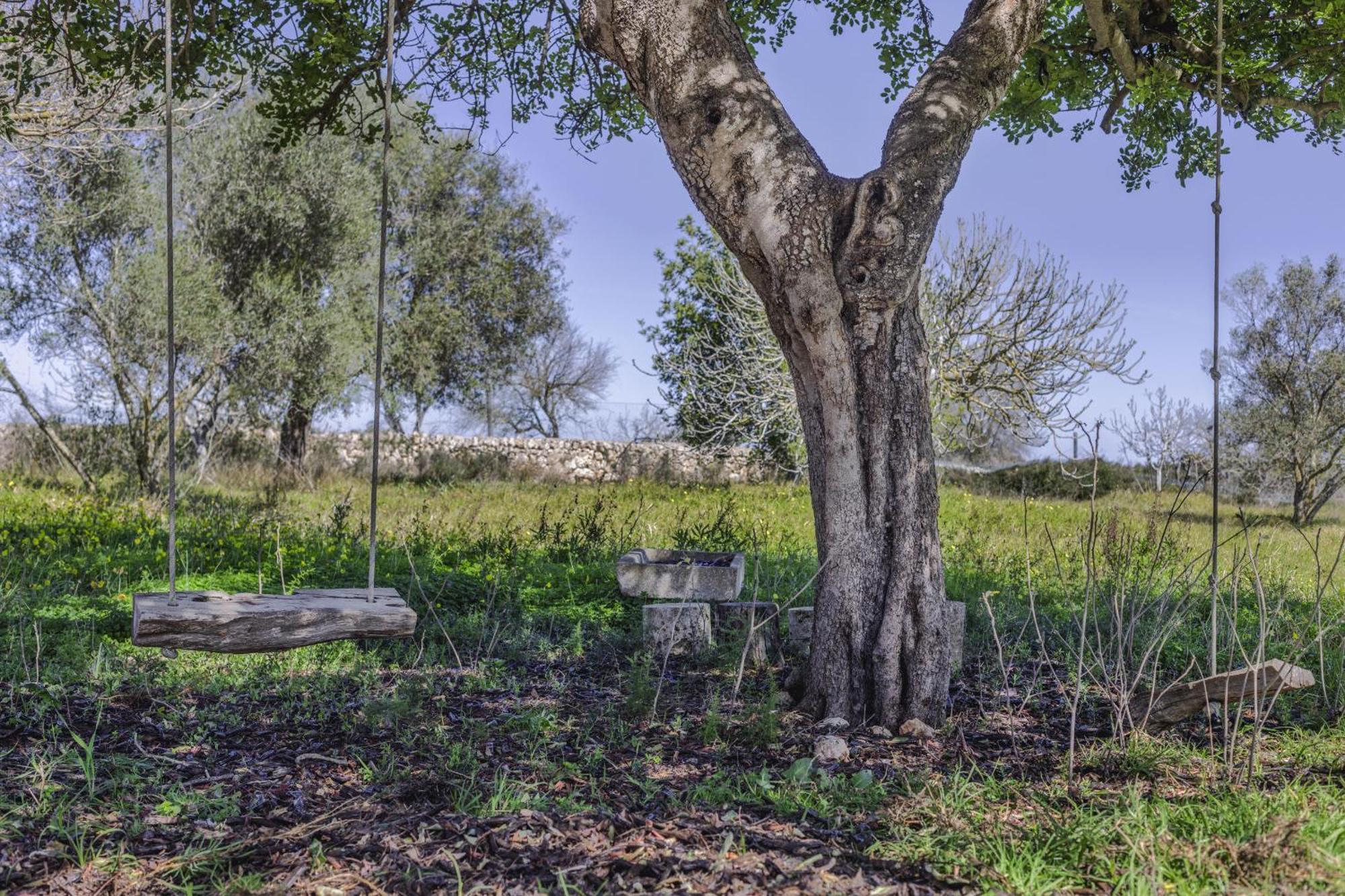 Finca Sa Torreta Санта-Маргарита Экстерьер фото
